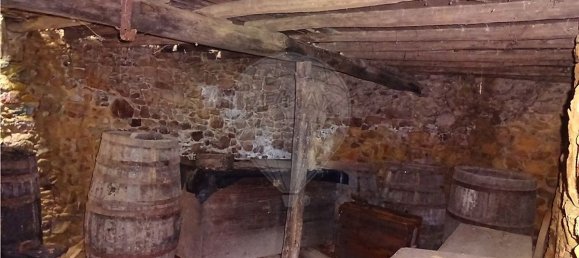 3 bedrooms House in Penacova, Portugal No. 34278 4