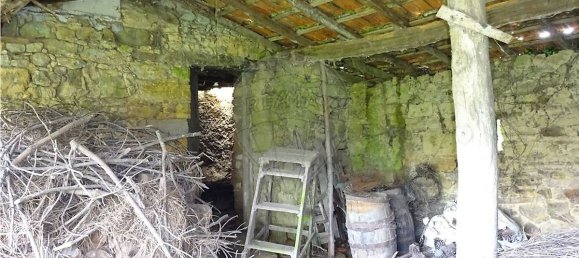 3 bedrooms House in Penacova, Portugal No. 34278 5