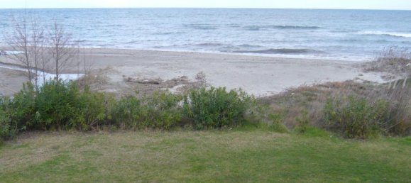 1 bedroom Apartment in San-Nicolao, France No. 104453 3