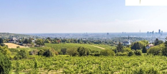 10 rooms Villa in Dobling, Austria No. 135846 3