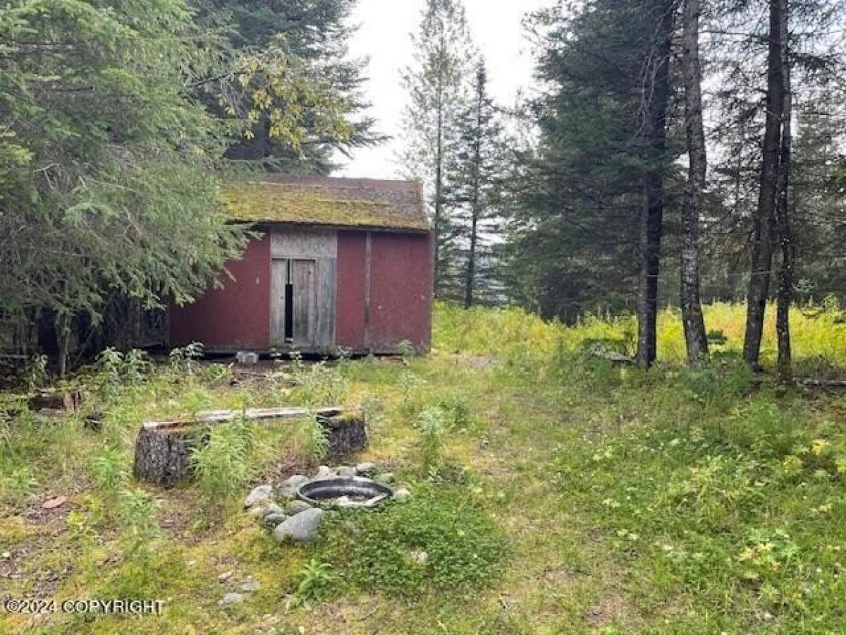 Terrain à Anchor Point, USA No. 487865