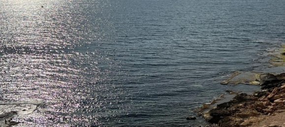 3 bedrooms Apartment in Torrevieja, Spain No. 90083 16