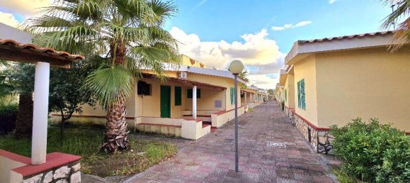 2 Schlafzimmer Haus in Santa Maria del Cedro, Italy, Nr. 54288 24