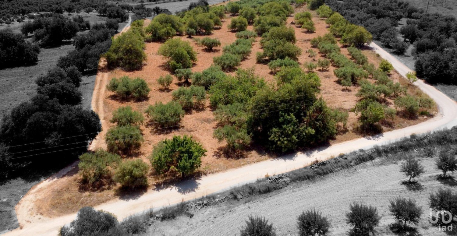 624m² Land in Tarragona, Spain No. 161097