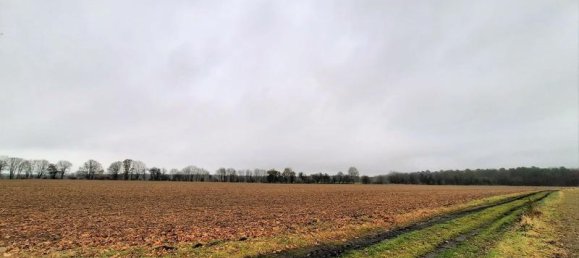 Terrain à Markisch-Oderland, Germany 77000m² No. 30239 3