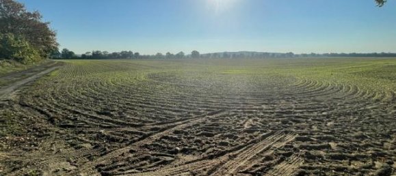 Terrain à Markisch-Oderland, Germany 77000m² No. 30239 2