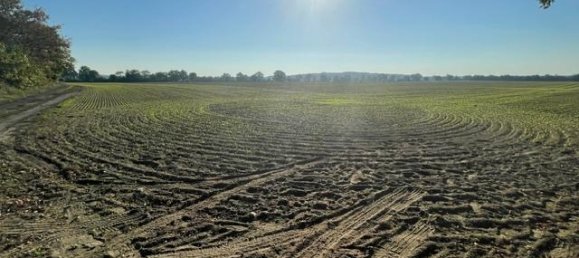 Terrain à Markisch-Oderland, Germany 77000m² No. 30239 6