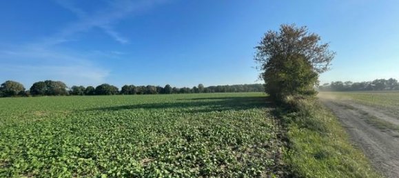 Terrain à Markisch-Oderland, Germany 77000m² No. 30239 5