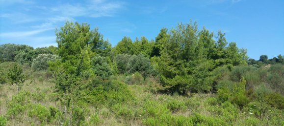 Hôtel à Chalkidiki, Greece 9000m² No. 5552 3