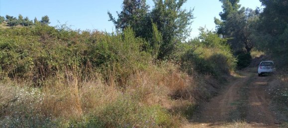 Hôtel à Chalkidiki, Greece 9000m² No. 5552 4