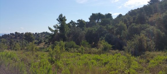 Hôtel à Chalkidiki, Greece 9000m² No. 5552 5