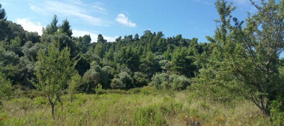 Hôtel à Chalkidiki, Greece 9000m² No. 5552 2