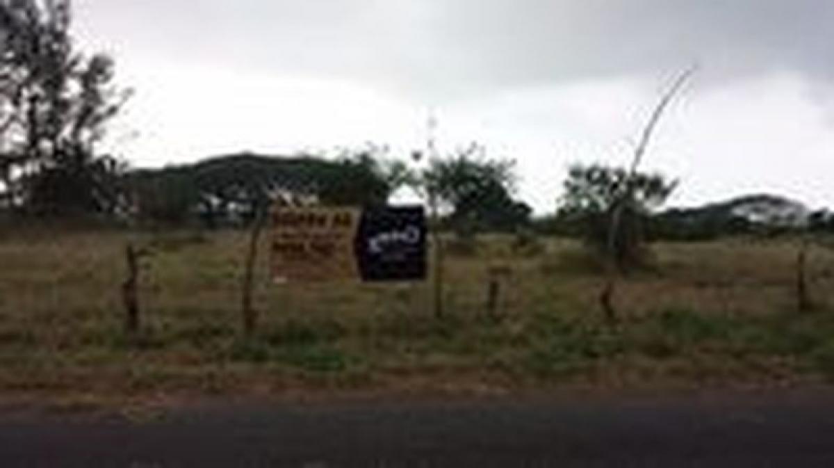 Terrain à Veracruz, Mexico No. 203986