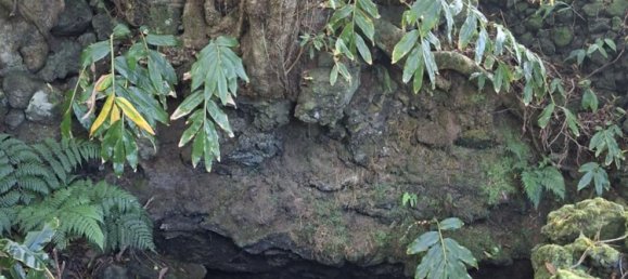  Land in Praia da Vitoria, Portugal No. 195502 14