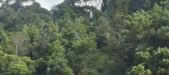  Land in Praia da Vitoria, Portugal No. 195502 3