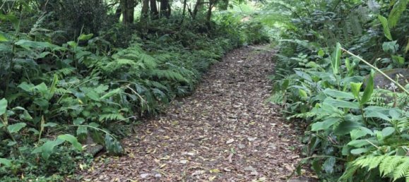  Land in Praia da Vitoria, Portugal No. 195502 20