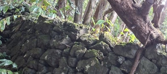  Land in Praia da Vitoria, Portugal No. 195502 10