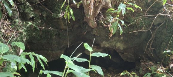  Land in Praia da Vitoria, Portugal No. 195502 12