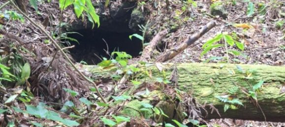  Land in Praia da Vitoria, Portugal No. 195502 13