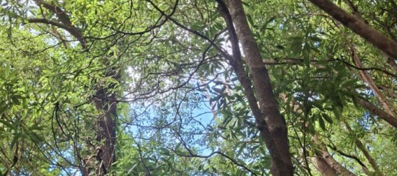  Land in Praia da Vitoria, Portugal No. 195502 2