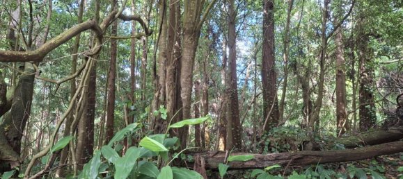  Land in Praia da Vitoria, Portugal No. 195502 21