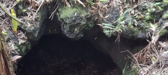  Land in Praia da Vitoria, Portugal No. 195502 18