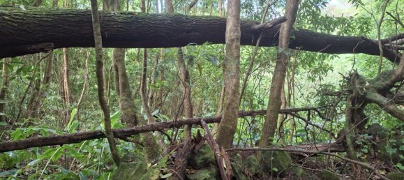  Land in Praia da Vitoria, Portugal No. 195502 15