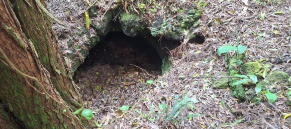  Land in Praia da Vitoria, Portugal No. 195502 4