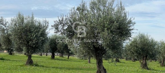 Terreno de 1 habitación en Vittoria, Italy No. 62947 6