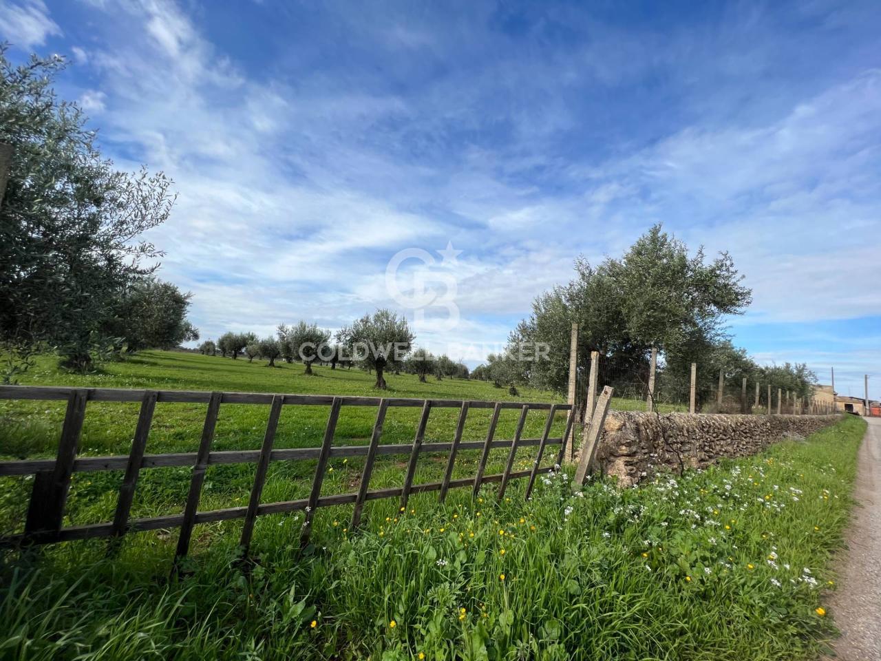 1-salle Terrain à Vittoria, Italy No. 62947