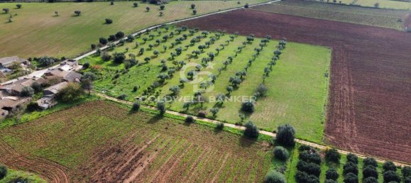 Terreno de 1 habitación en Vittoria, Italy No. 62947 9