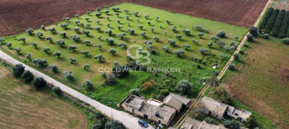 Terreno de 1 habitación en Vittoria, Italy No. 62947 10