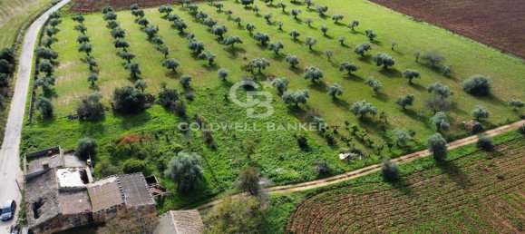 Terreno de 1 habitación en Vittoria, Italy No. 62947 7