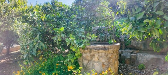 3 bedrooms Villa in Loule, Portugal No. 118199 35