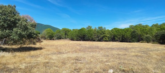 18000m² Land in Piedralaves, Spain No. 100078 10