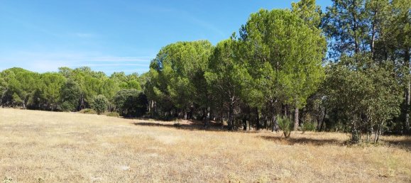 18000m² Land in Piedralaves, Spain No. 100078 3