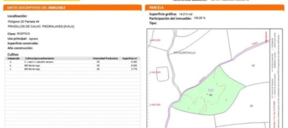 18000m² Land in Piedralaves, Spain No. 100078 12