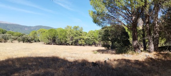 18000m² Land in Piedralaves, Spain No. 100078 2