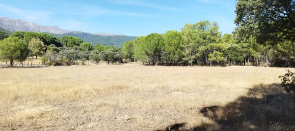 18000m² Land in Piedralaves, Spain No. 100078 7