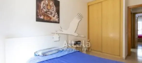 2 bedrooms Apartment in Guadalajara, Spain No. 190429 18