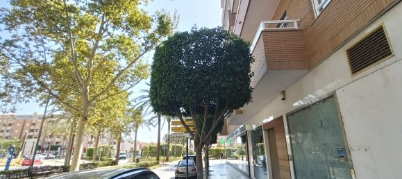 2 bedrooms Apartment in El Ejido, Spain No. 160518 2