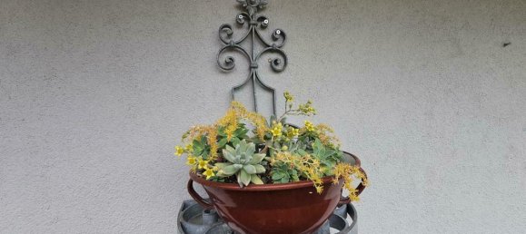 5 rooms House in Bad Radkersburg, Austria No. 134339 22