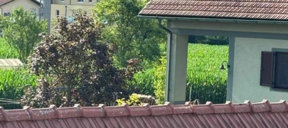 5 rooms House in Bad Radkersburg, Austria No. 134339 36