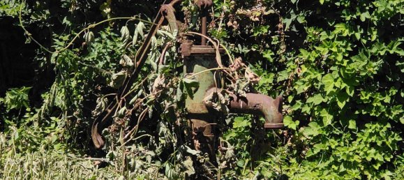 6 rooms Townhouse in Moosbrunn, Austria No. 142016 21