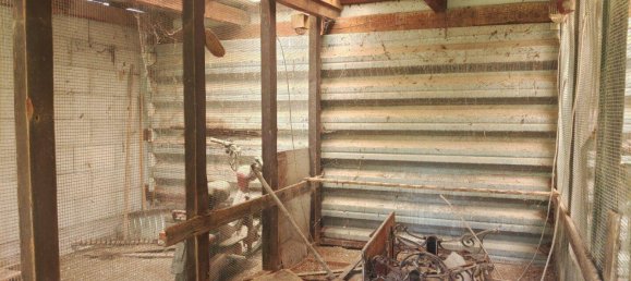 6 rooms Townhouse in Moosbrunn, Austria No. 142016 17