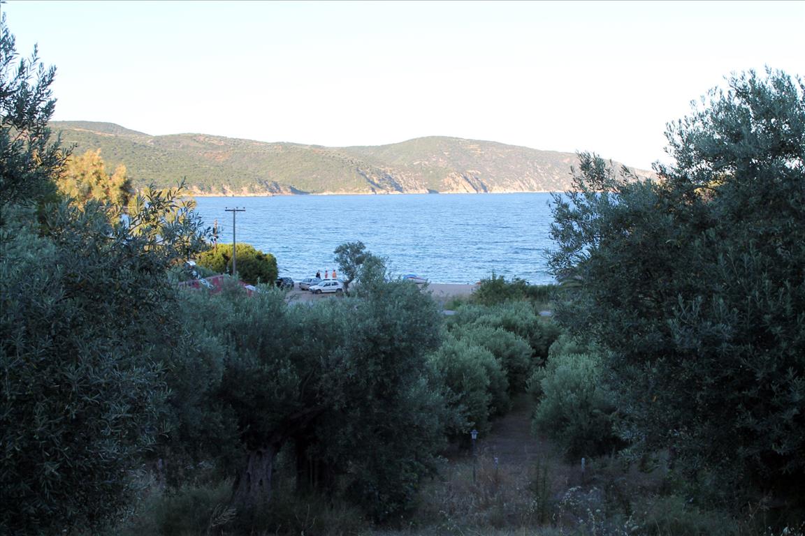 Hotel in Chalkidiki, Greece 6450m², Nr. 7684