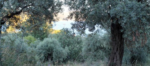Hotel in Chalkidiki, Greece 6450m², Nr. 7684 8