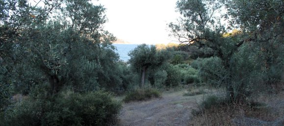 Hotel in Chalkidiki, Greece 6450m², Nr. 7684 7