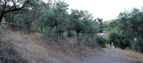 Hotel in Chalkidiki, Greece 6450m², Nr. 7684 9