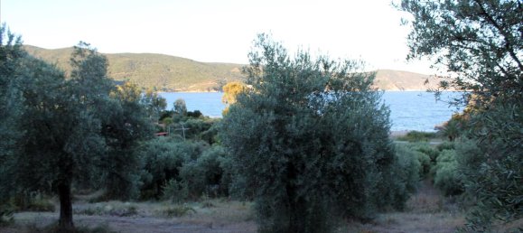Hotel in Chalkidiki, Greece 6450m², Nr. 7684 2